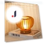 Retro LED Pumpkin Table Lamp — Creative Lighting Solutions, Binchi Lighting Appliances