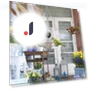 Smart Bird Feeder with Camera — Outdoor & Wildlife Cameras, Niubiplus