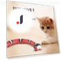 Smart Sensing Snake Cat Toys — Cat Playthings, new boy 05