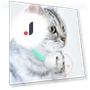 Smart Teasing Collar for Cats — Cat Playthings, Ximalaya