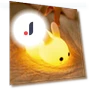 Touch Night Lights with Rabbit — Night Lights, Factory Discount Outlet