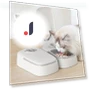Automatic Pet Feeder for 2 Meals — Feeders, Lucy Auto parts stuff