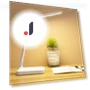 LED Desk Lamp with Touch Control — Desk & Table Lighting, YSXX