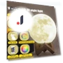 Moon Lamp with Wooden Base — Creative Lighting Solutions, SMOO