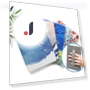 Smart Case — Protective Cases, SS-Jewelry-03