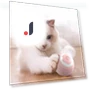Smart Interactive Pet Toy Ball — Cat Playthings, Popularity-home