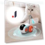 Smart Interactive Toy Car for Cats and Dogs — Interactive Animal Companions, BC Pet Supplies