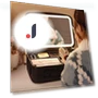 Smart LED Cosmetic Bag with Mirror — Cosmetic Cases, Makeup Kits