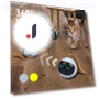 USB Smart Ball Toy for Cats — Cat Playthings, TheSecret