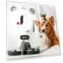 Automatic Pet Feeder — Feeders, Refreshing Home