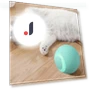 Funny Pet Toys Exercise Chase Electric Ball — Cat Playthings, Sock