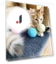 Interactive Ball Smart Cat Toys — Cat Playthings, Yiran Furniture