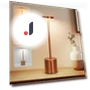 LED Desk Lamp with Touch Sensor — Study & Desk Lighting, Binchi Lighting Appliances