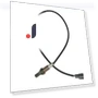 Oxygen Sensor — Check Engine, Tesla Car parts