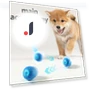 Smart Interactive Pet Toy Ball — Interactive Animal Companions, Luminaire Lighting Mall