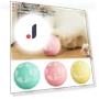 Smart Pet Rolling Ball Toy — Toys, Super Dream Home