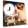 Automatic Circulating Water Dispenser for Pets — Feeding Supplies, GYROBALL