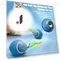 Electric Ball for Cats — Cat Playthings, I love My Pet