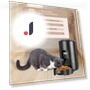 Automatic Smart WIFI Button Cat Feeder — Automatic Feeders, Good Household Items
