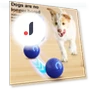 LED Rolling Pet Ball — Cat Playthings, Talos home Garden