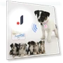 Bluetooth Anti-Loss Smart Keychain — Item Locators, lanle