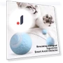 Interactive Cat Ball — Cat Playthings, Love Pet House