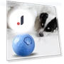 Interactive Cat Toy Ball — Cat Playthings, Pet park