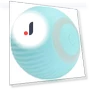 Interactive Cat Toy Ball — Cat Playthings, Global Cozy Life