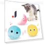 Interactive Smart Ball with Catnip — Cat Playthings, AYEVIN Life Gadgets