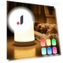 LED Night Light with Wireless Charging — Night Lights, Binchi Lighting Appliances