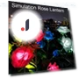 Outdoor Solar Light with 3 LEDs — Garden Illumination, Smart Mouse