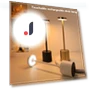 Rechargeable Touch LED Desk Lamp — Study & Desk Lighting, YWZT Decorative lights
