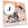 Smart Electric Mouse Toy — Cat Playthings, Pet Zooo