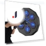 Smart Musical Boxing Trainer — Trainer Accessories, Thanos tool
