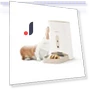 Smart Programmable Dry Food Dispenser for Dogs and Cats — Smart Pet Feeders, Petwant