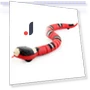 Automatic Cat Toys, Electronic Snake — Interactive Animal Companions, BC Pet Supplies