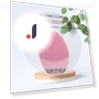 Electric Smart Cleansing Tools — Electric Facial Cleansers & Devices, Makeup Kits