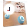 Interactive Ball for Pets — Interactive Animal Companions, Yiran Furniture