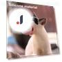 Interactive Cat Ball — Cat Playthings, Zenithe
