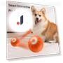 Interactive Dog Toy Rolling Ball — Balls, I love My Pet