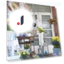 Smart Bird Feeder with Camera — Backyard Birding, Balala