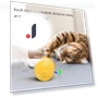 Automatic Cat Toy — Cat Playthings, Pet Zooo