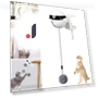 Automatic Electric Cat Ball Toy — Cat Playthings, Refreshing Home
