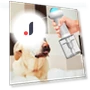 Automatic Pet Foam Maker — Feeding Supplies, Yiran Furniture
