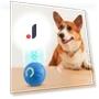 Automatic Rolling Ball Smart Interactive Cat Toy — Cat Playthings, Yiran Furniture