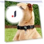Classic Protective Pet Case for AirTag — Trackers, Cuperay