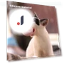 Interactive Pet Toy Ball — Cat Playthings, My Pet BOBO