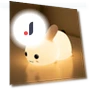 Modern LED Animal Touch Lamp — Night Lights, Zhou Yajin