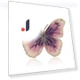 Smart Enamel Dripping Butterfly Brooch — Pins & Brooches, JEWEL HOME