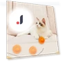Interactive Smart Toy for Cats — Cat Playthings, Refreshing Home